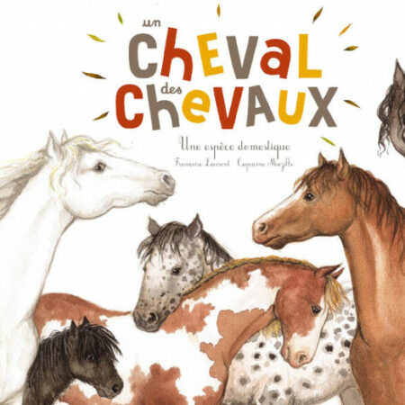 Un cheval, des chevaux