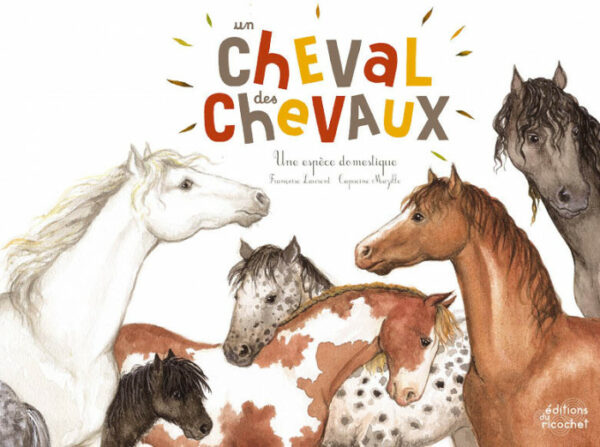 un cheval des cheveux